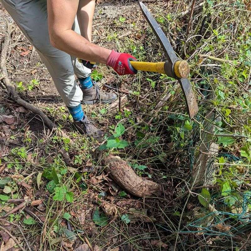 Proven Ways To Stop Kudzu From Spreading In Your Yard