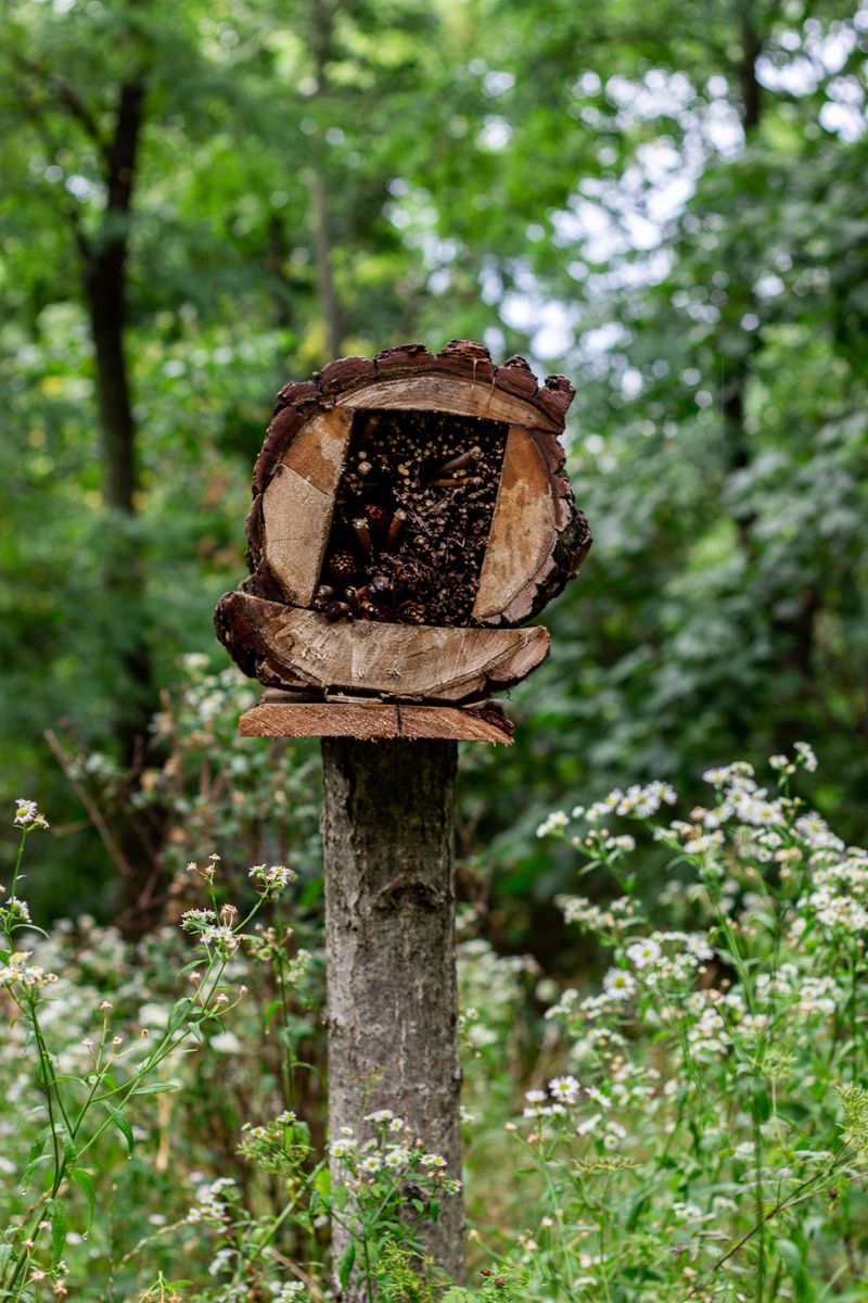 Provide Alternative Nesting Options
