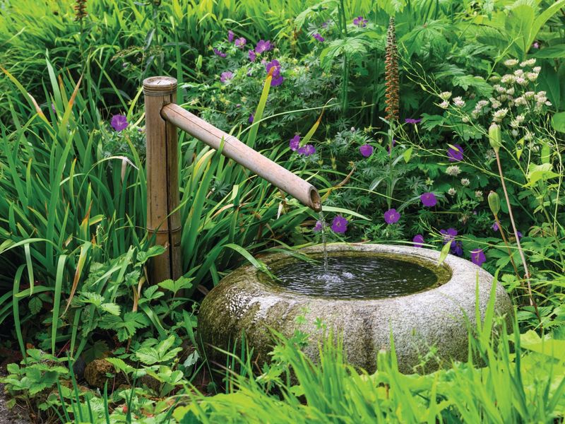 Provide Fresh Water Sources Provide Fresh Water Sources