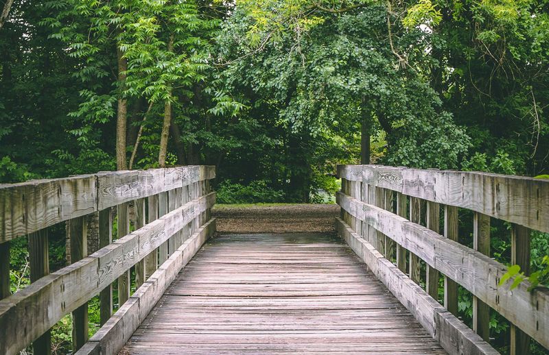 Proximity To Woodlands Or Brush