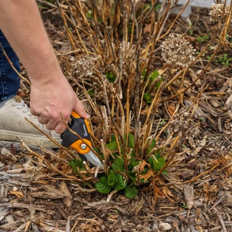 Pruning At The Wrong Time Pruning At The Wrong Time