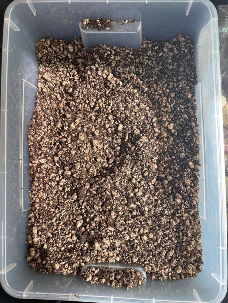 Pumice Improves Drainage Without Breaking Down