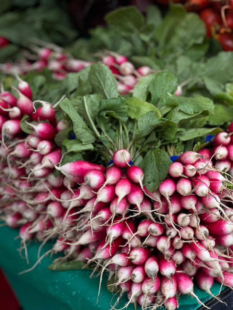 Radishes