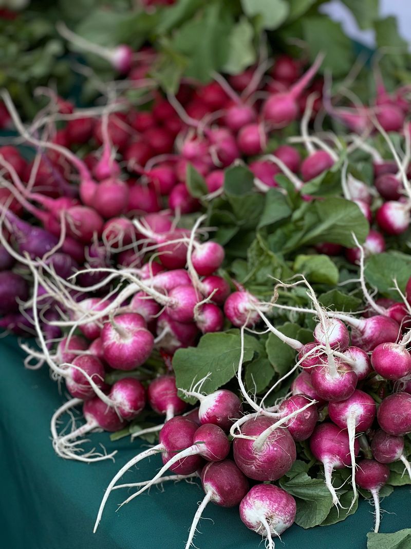 Radishes