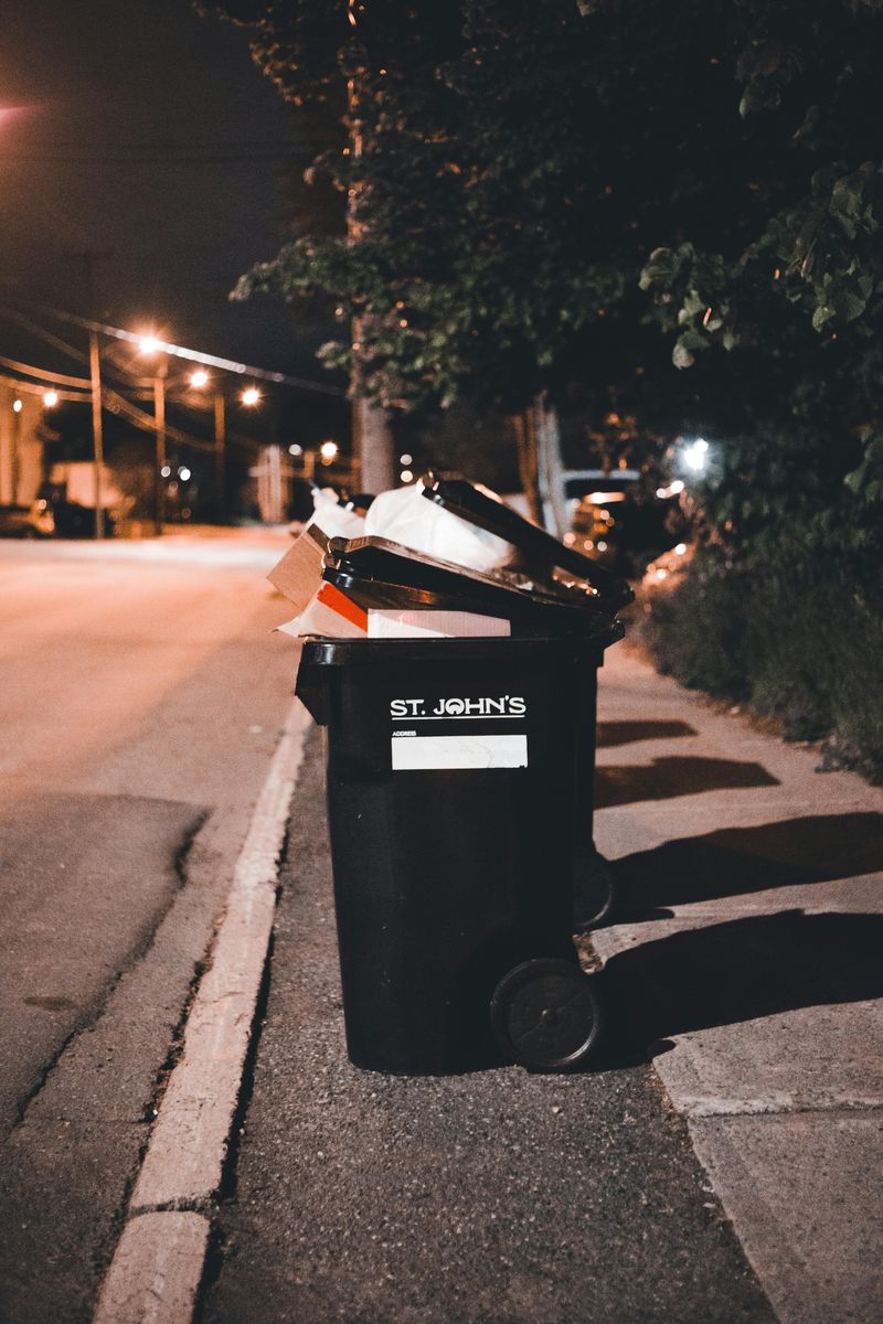 Raided Or Tipped Trash Cans
