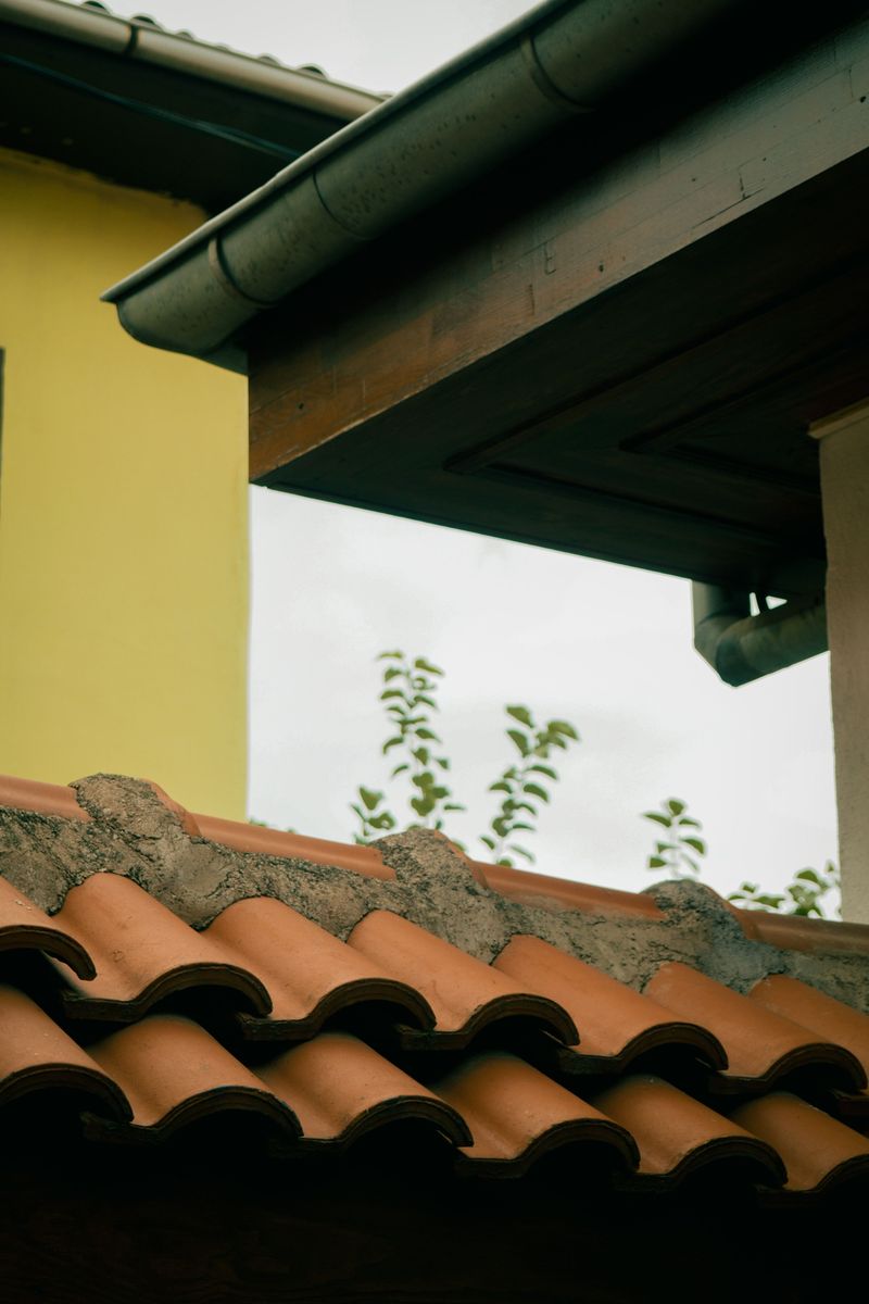 Rain And Wind Protection Makes Your Eaves A Prime Nesting Target