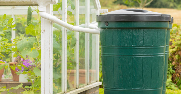 Rain Barrels Are Helping Minnesota Gardeners Get Through A Dry Summer