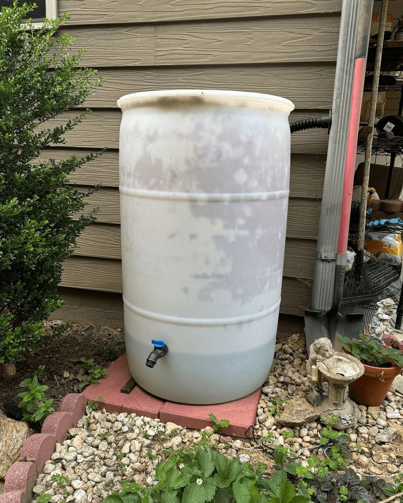 Rain Gardens Collect Runoff After Summer Storms Rain Gardens Collect Runoff After Summer Storms