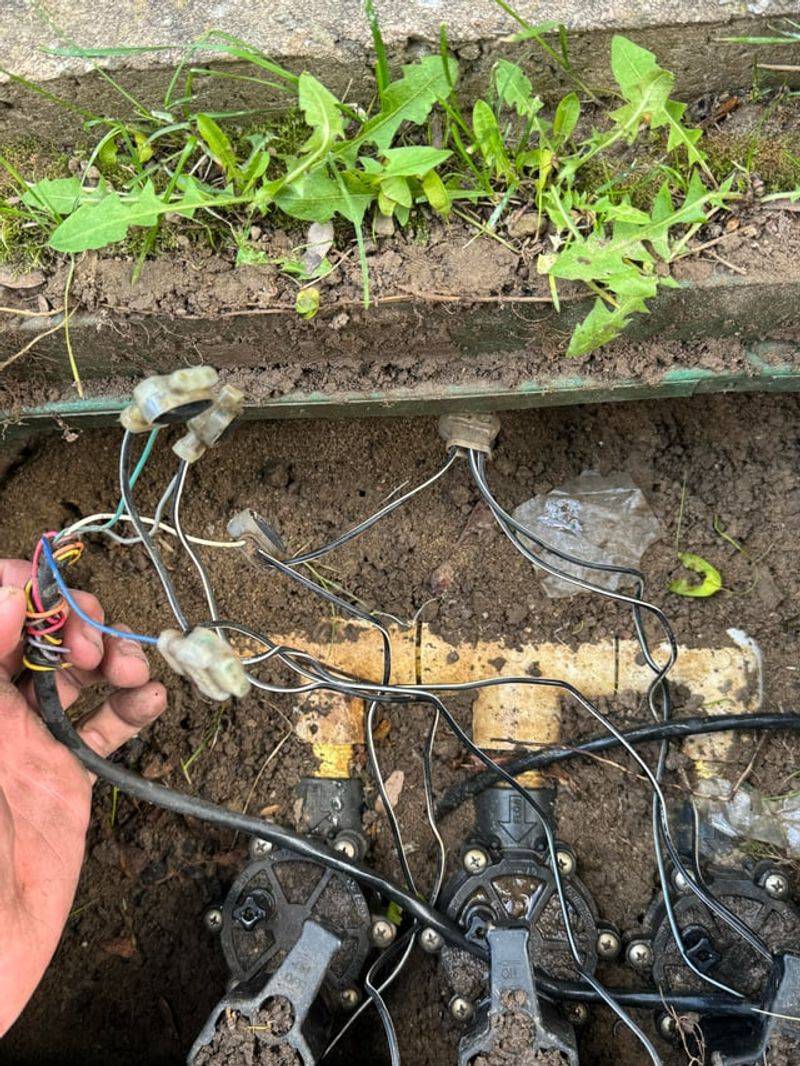 Rain Sensors Stop Sprinklers From Doubling Down