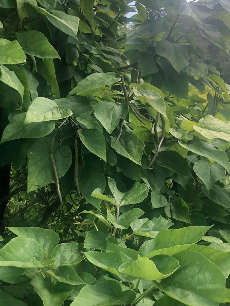 Rainfall Should Change Your Watering Routine Rainfall Should Change Your Watering Routine
