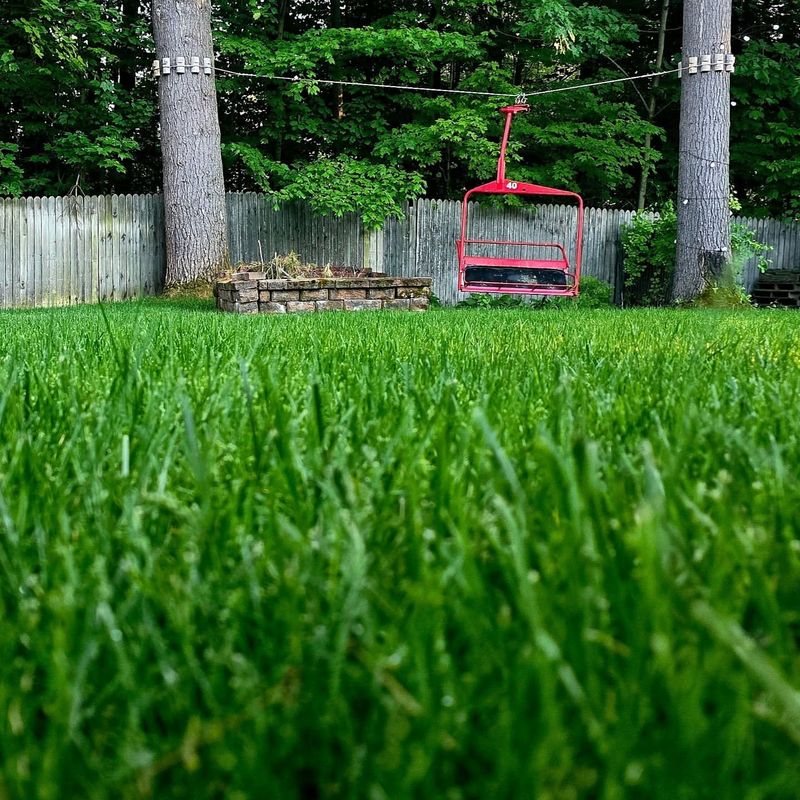 Raise Mowing Height During Extreme Heat