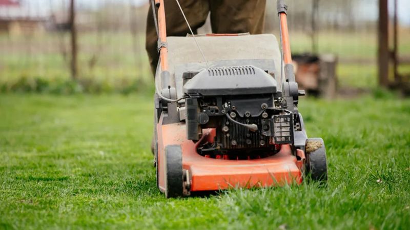 Raise The Mower Deck Before Heat Stress Begins Raise The Mower Deck Before Heat Stress Begins