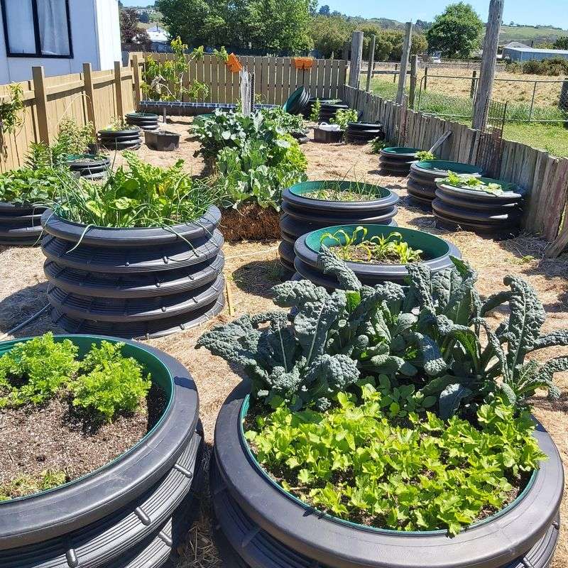 Raised Beds Help Oregon Gardeners Warm Soil Faster