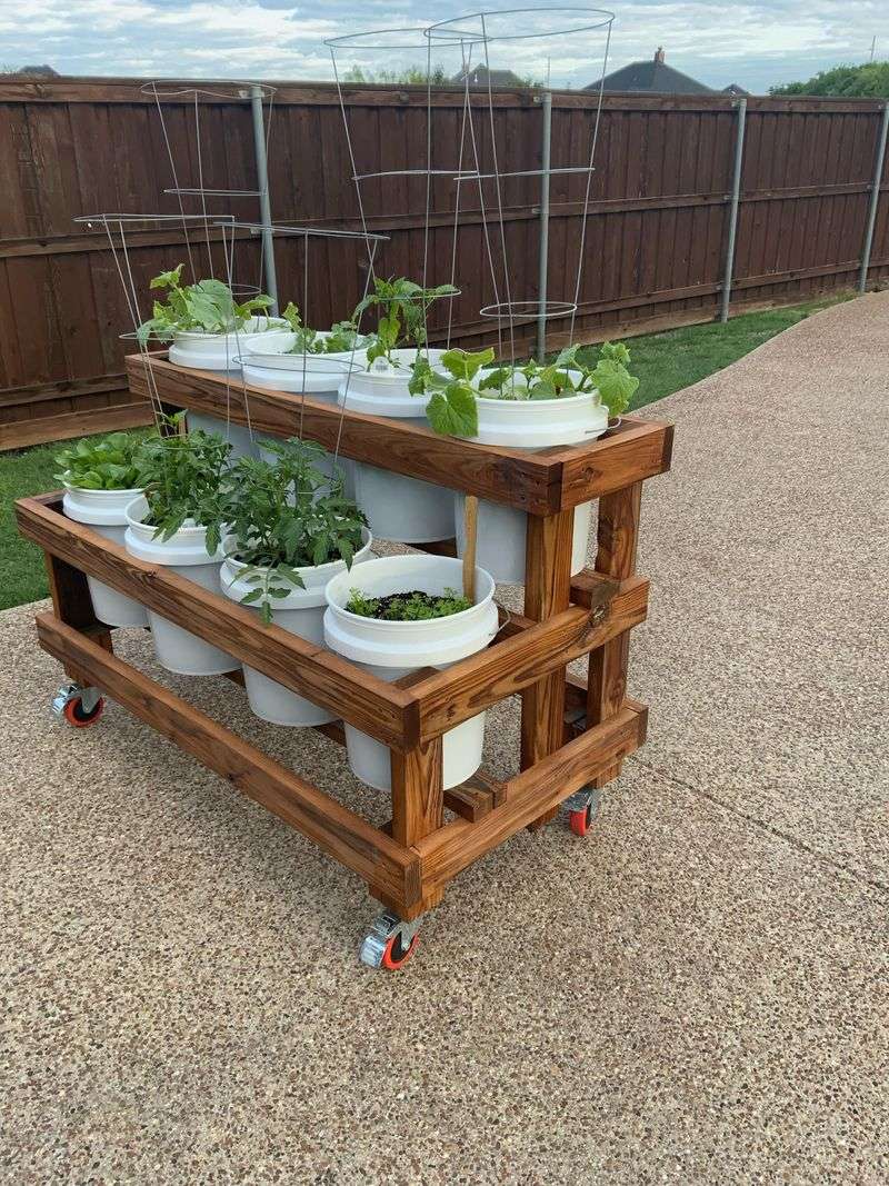 Raised Containers Improve Root Drainage