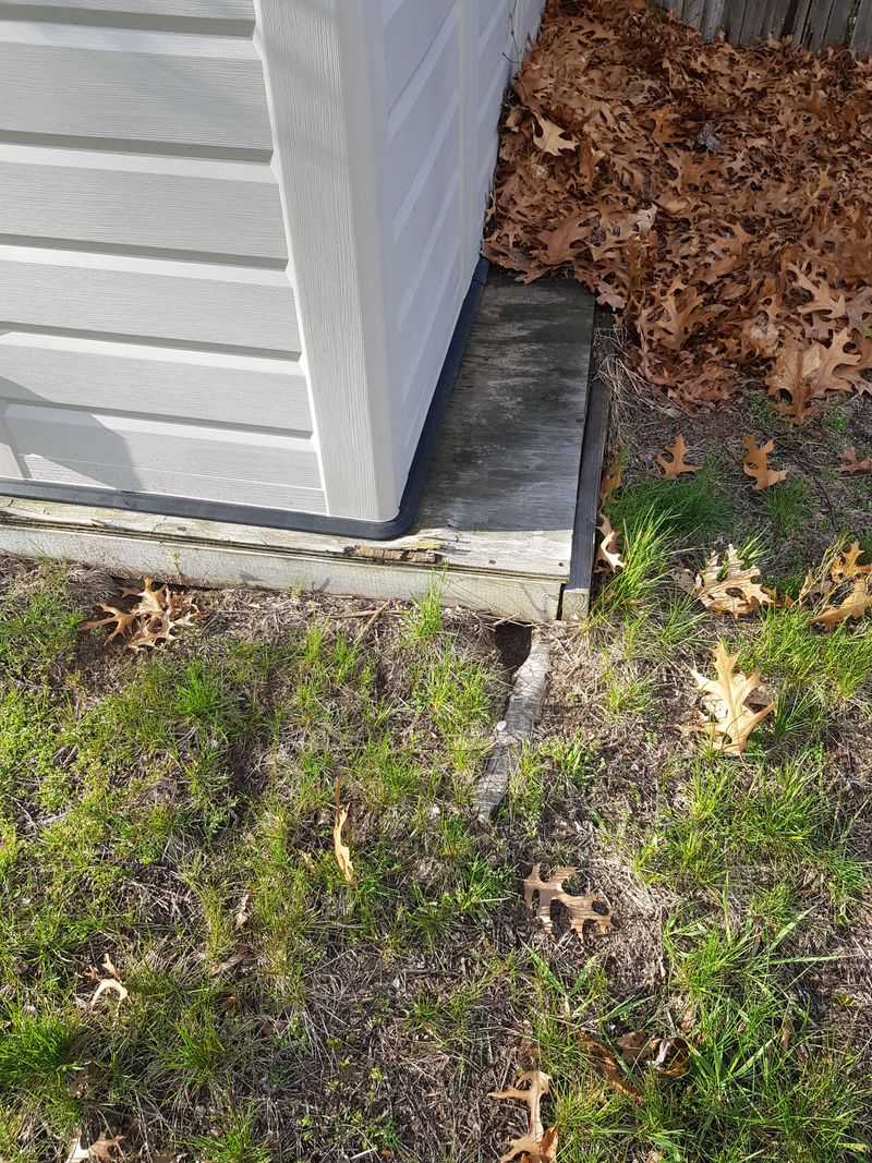 Raised Floors Hide Early Activity