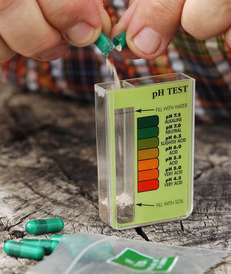Read Soil And Plant Clues Before You Feed