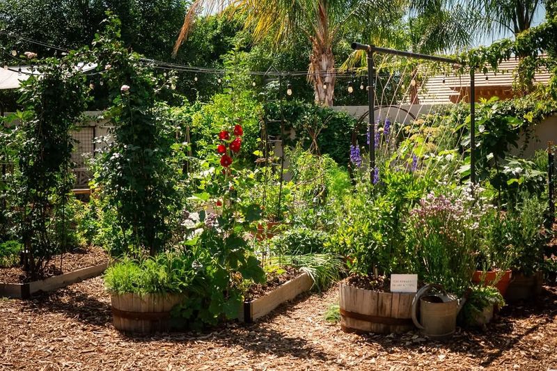 Reduce Pesticide Use Around The Garden Reduce Pesticide Use Around The Garden