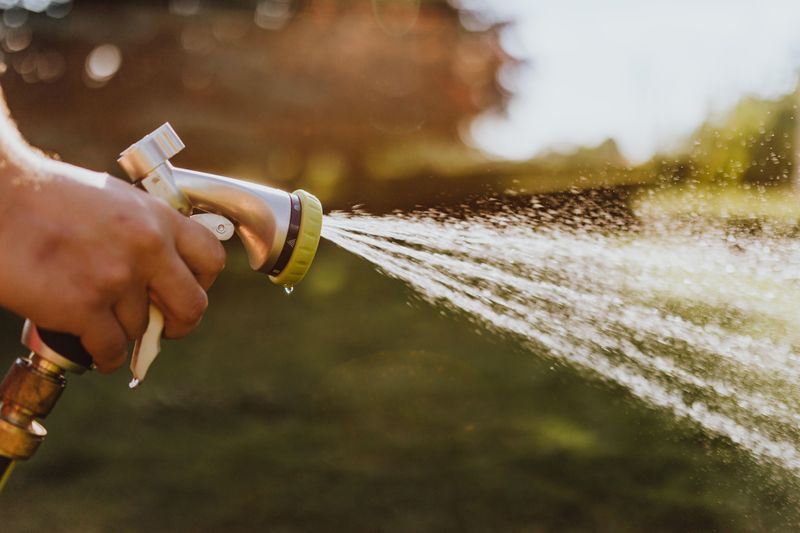 Reduce Watering Frequency And Improve Drainage Immediately