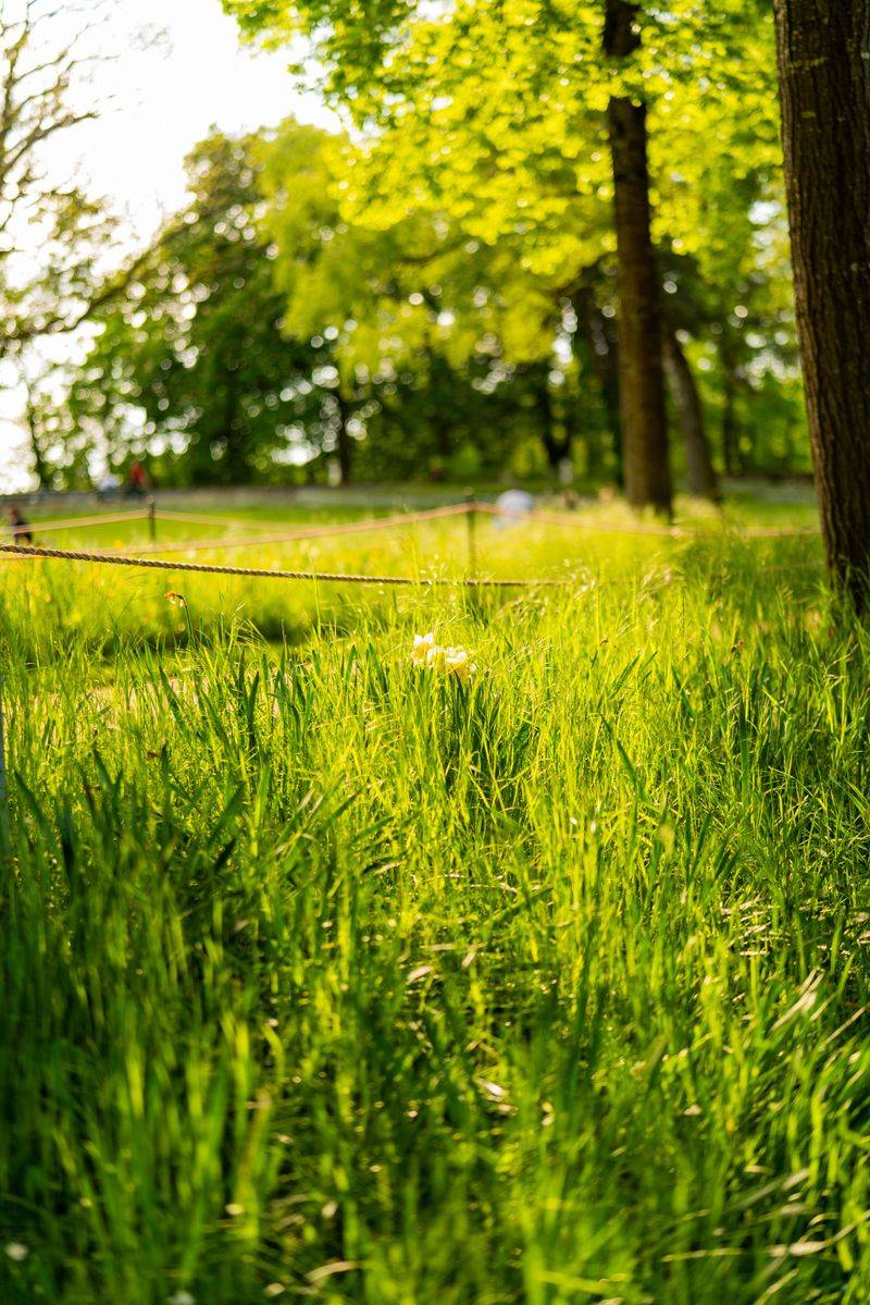 Reducing Carbon Emissions Reducing Carbon Emissions