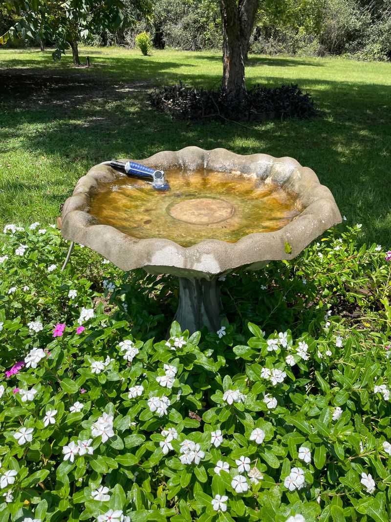 Refresh Birdbaths At Least Once A Week