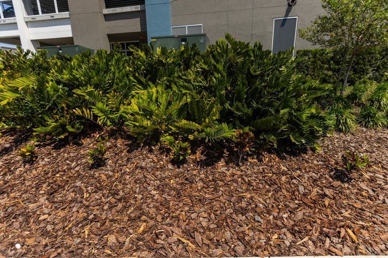 Refresh Mulch Before Late-Summer Heat Drains The Soil Refresh Mulch Before Late-Summer Heat Drains The Soil