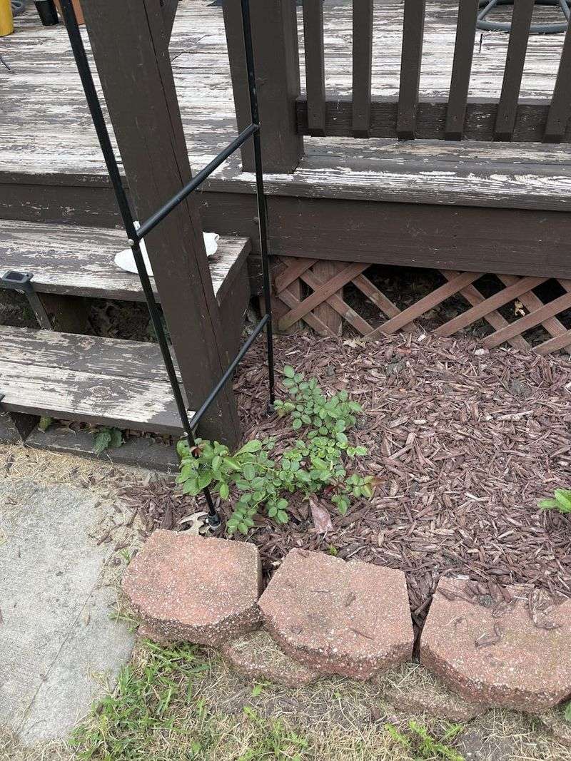 Refresh Mulch Before Soil Temperatures Spike Again