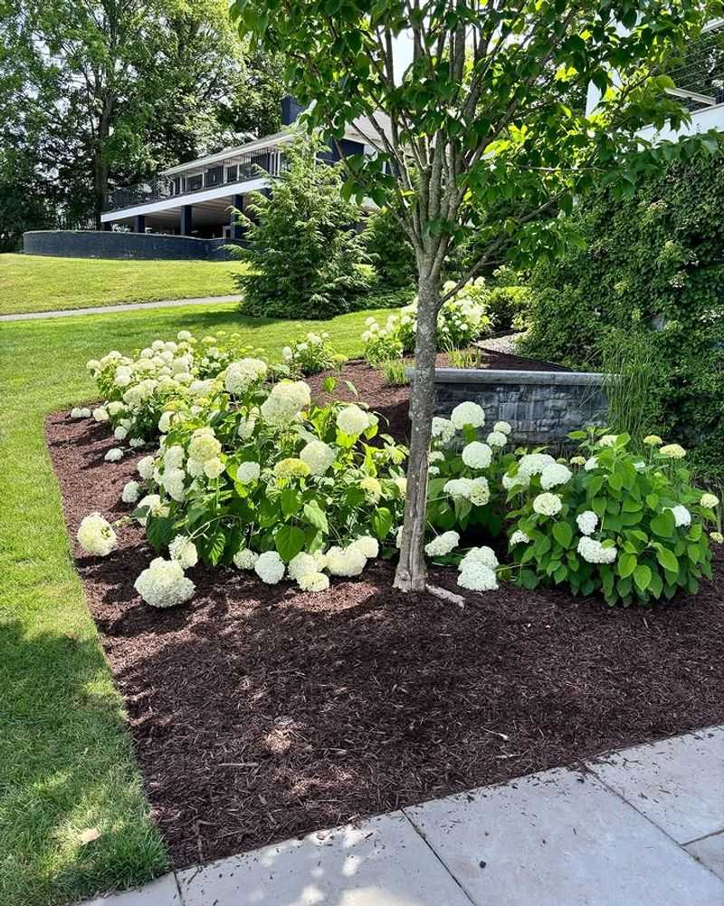 Refresh Mulch To Keep Roots Cool