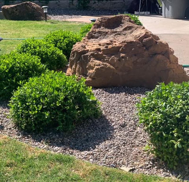 Refresh Mulch Without Burying Stems