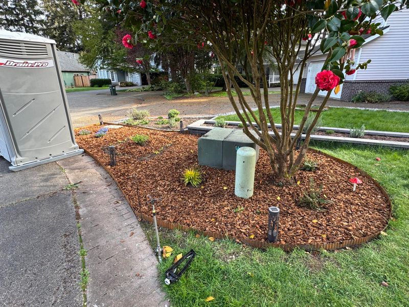 Refresh Mulch Without Burying The Crown Refresh Mulch Without Burying The Crown