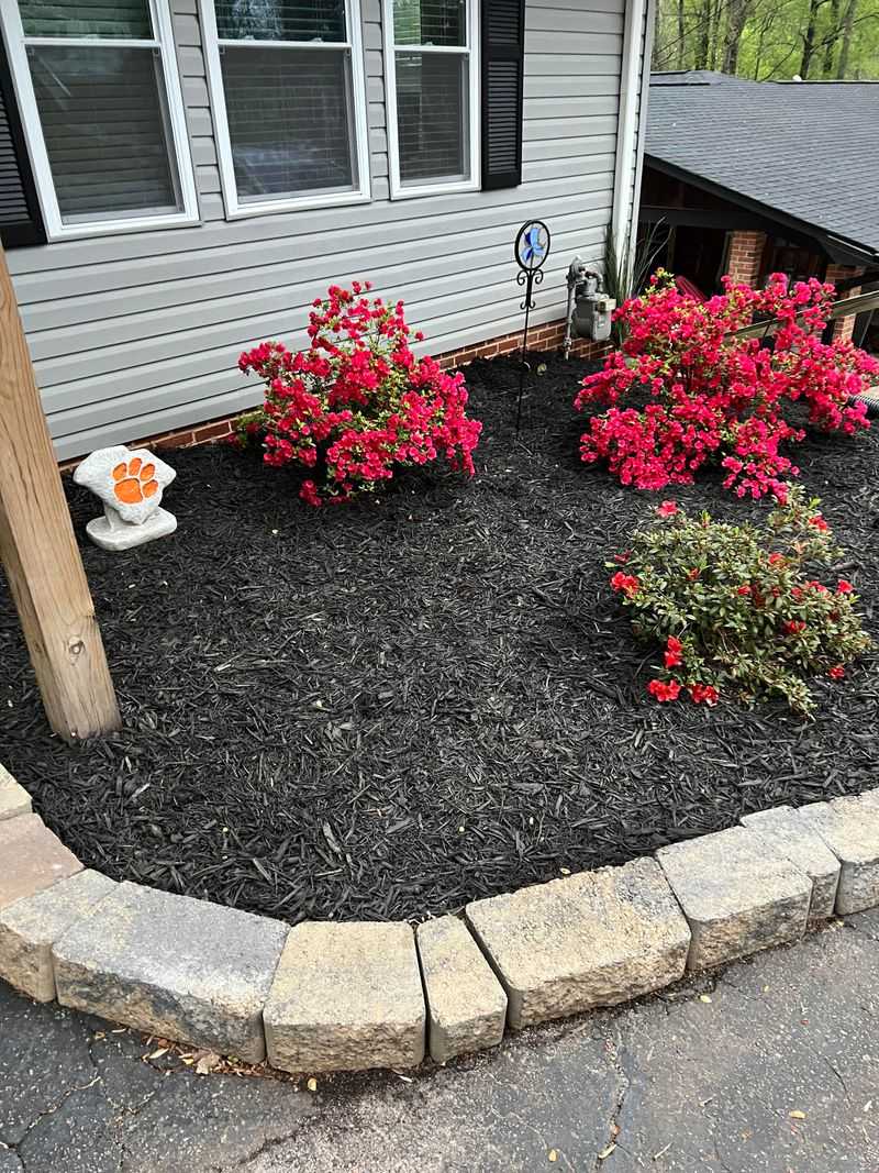 Refresh Mulch Without Burying The Shallow Roots Refresh Mulch Without Burying The Shallow Roots