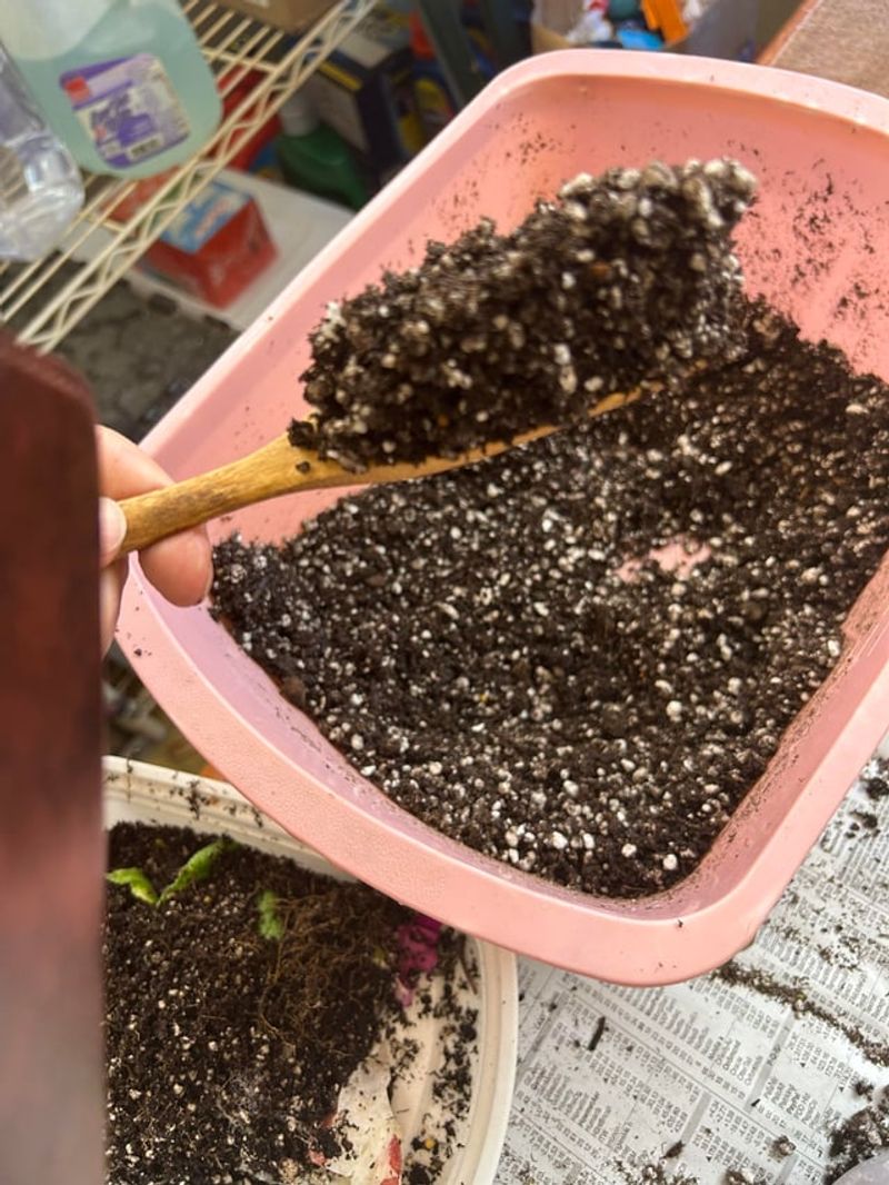 Refresh Potting Mix To Boost Summer Roots