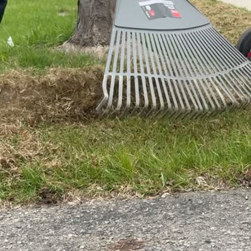 Remove Excess Thatch That Holds Moisture Near Soil