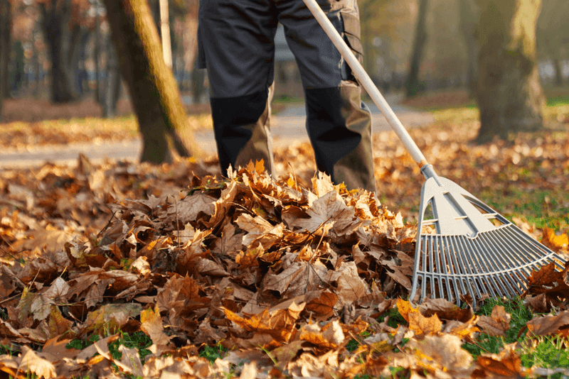 Removing Leaf Litter And Mulch