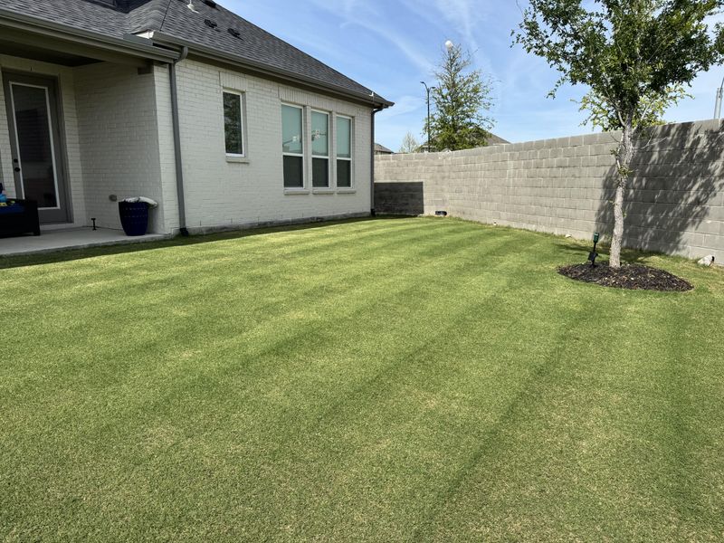 Repair Damaged Areas Once Conditions Improve