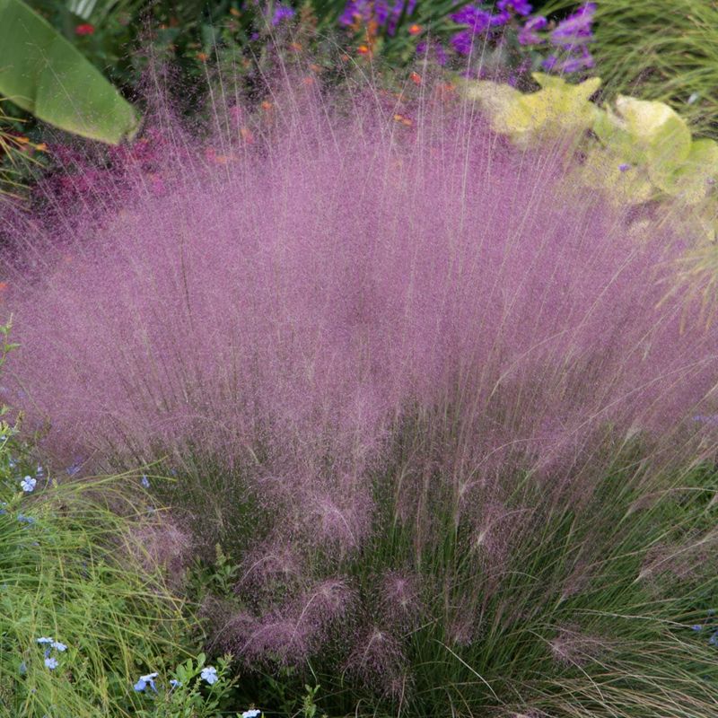 Repeated Plantings Create A Cleaner Border Look Repeated Plantings Create A Cleaner Border Look