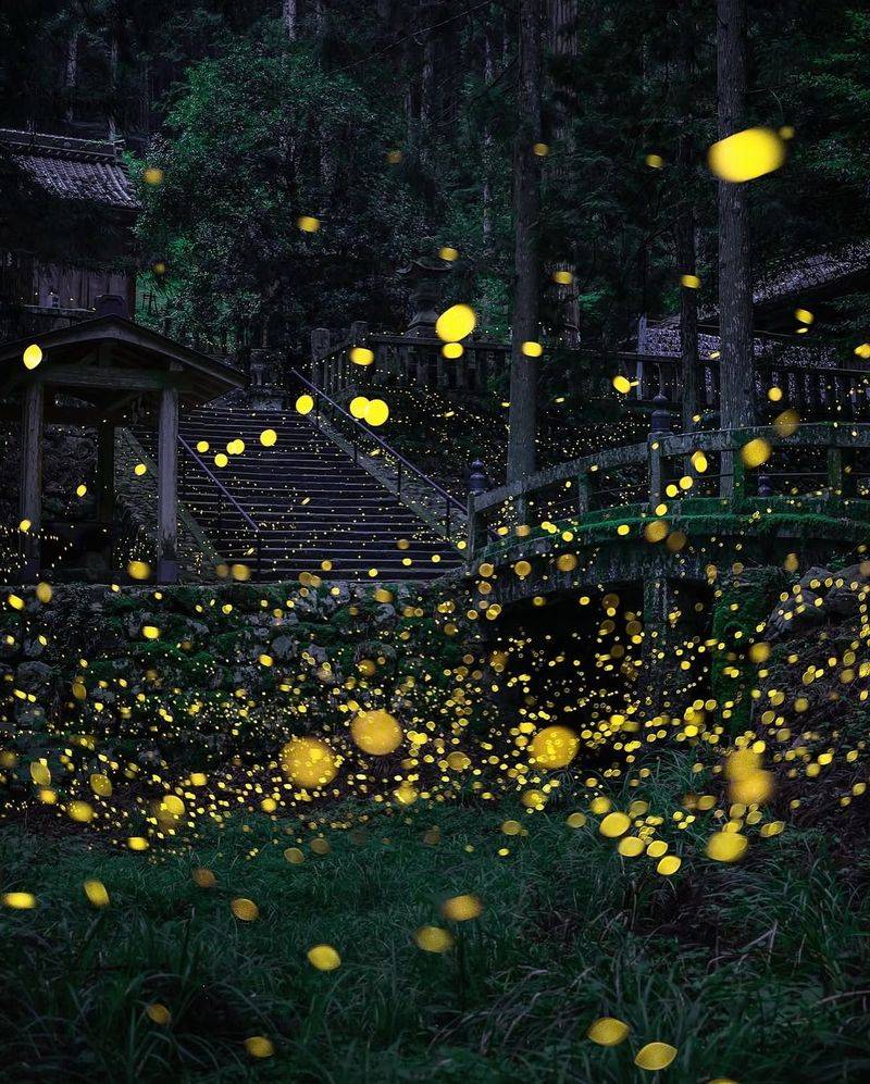 Replace Bright Lights With Softer Outdoor Options