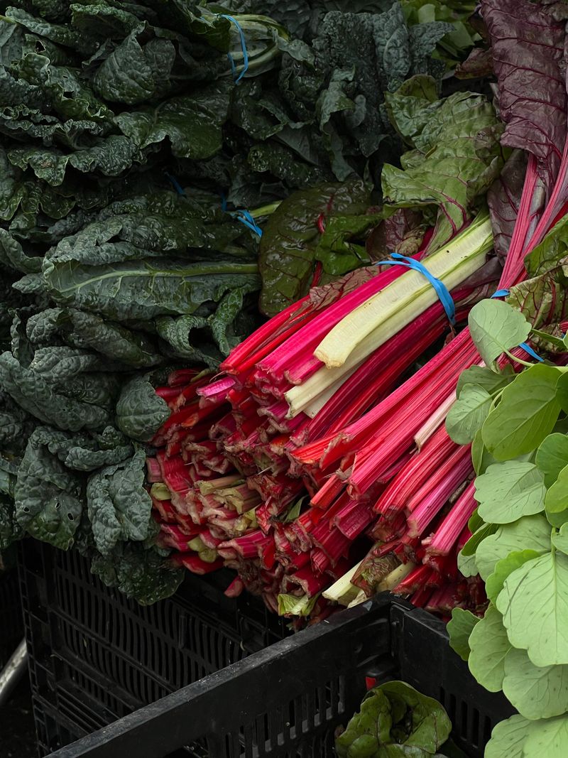Replace Cool-Season Greens With Heat-Tolerant Crops Replace Cool-Season Greens With Heat-Tolerant Crops