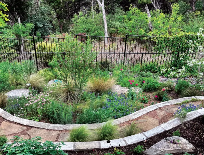 Replace Some Lawn With Low-Water Planting Beds Replace Some Lawn With Low-Water Planting Beds