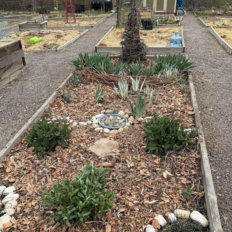 Replace Thin Mulch Before It Breaks Down Too Much Replace Thin Mulch Before It Breaks Down Too Much