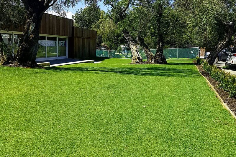 Replacing Diverse Plantings With Large Areas Of Turf