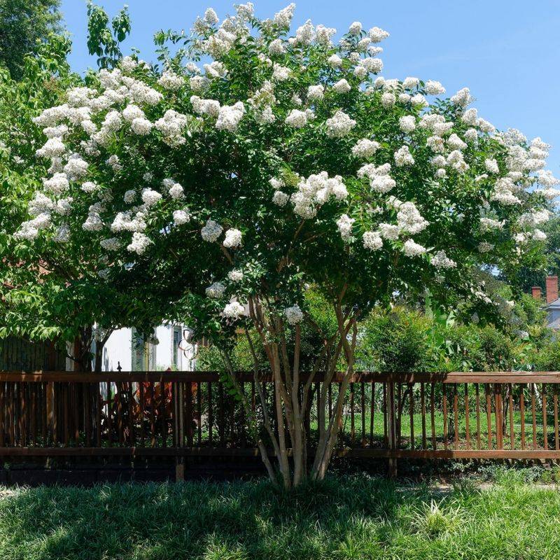 Resistant Varieties Make The Biggest Difference