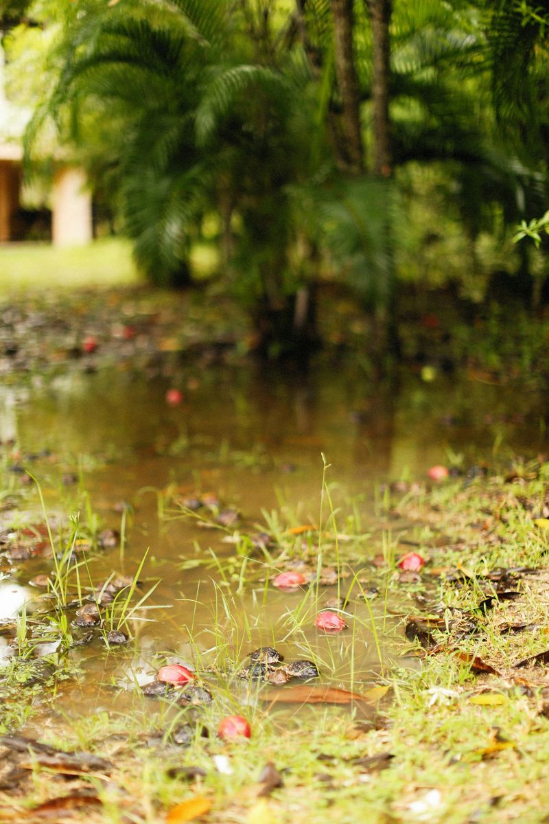 Retreat After Every Heavy Rain