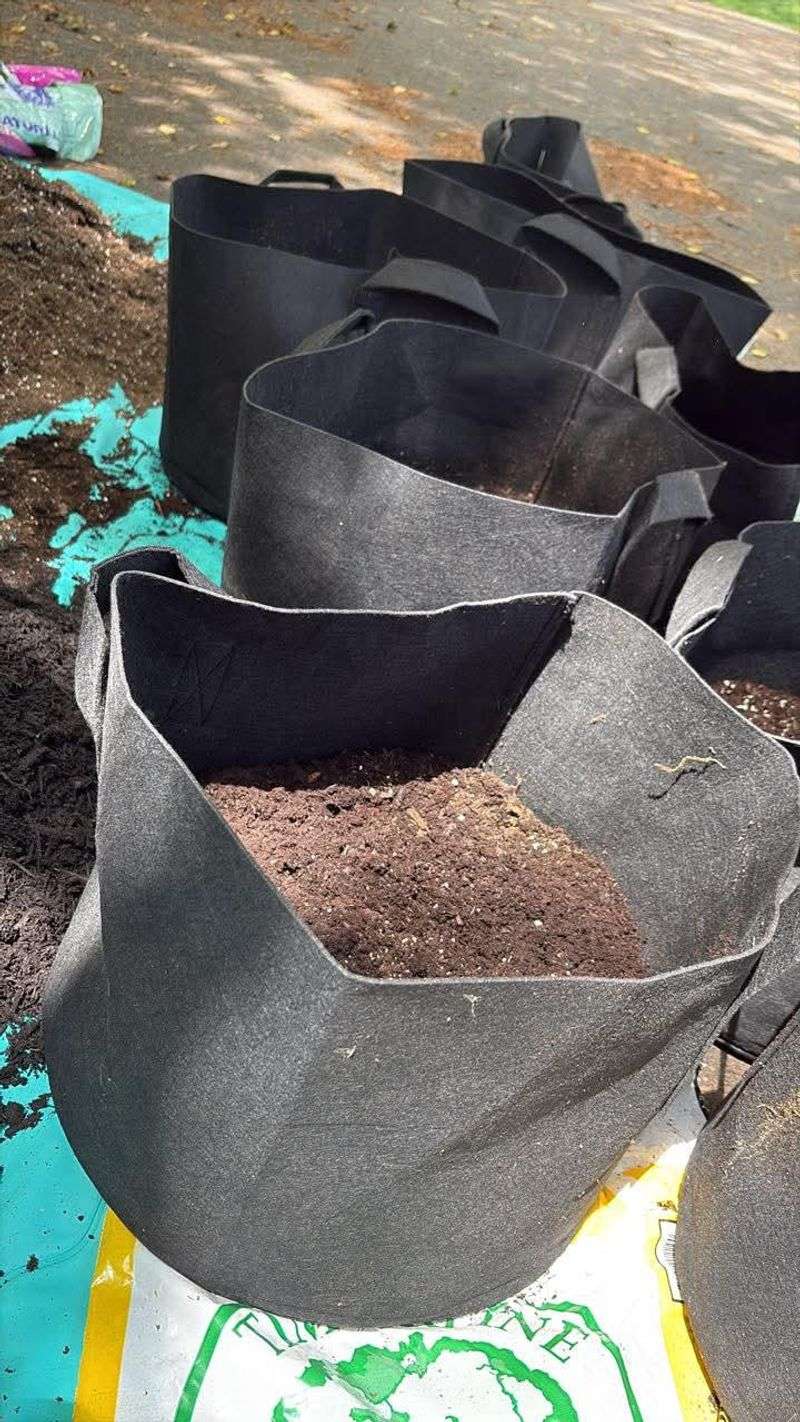 Reuse It At The Bottom Of Large Containers Only If Blended