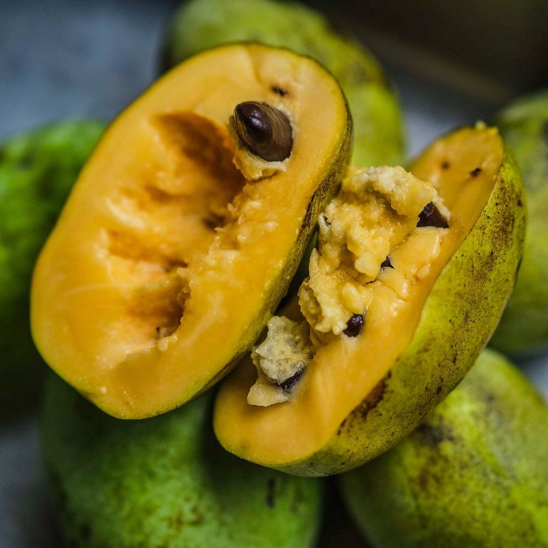 Ripe Fruit Has A Short Picking Window