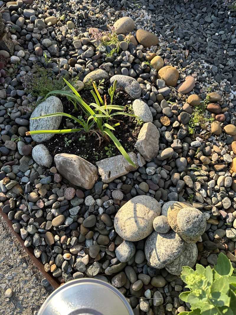 Rocks Can Keep Soil From Staying Too Wet Rocks Can Keep Soil From Staying Too Wet