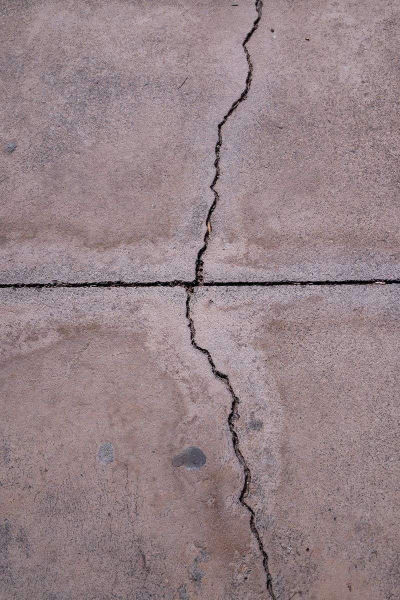 Roots That Crack Concrete And Damage Pipes