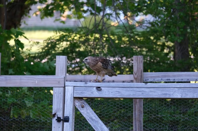 Rotate Feeder Locations Regularly Rotate Feeder Locations Regularly