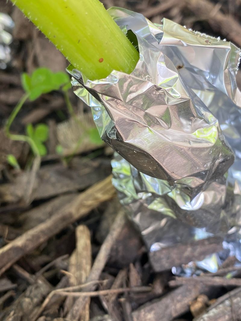 Row Covers Block The Moth Before It Ever Reaches The Stems