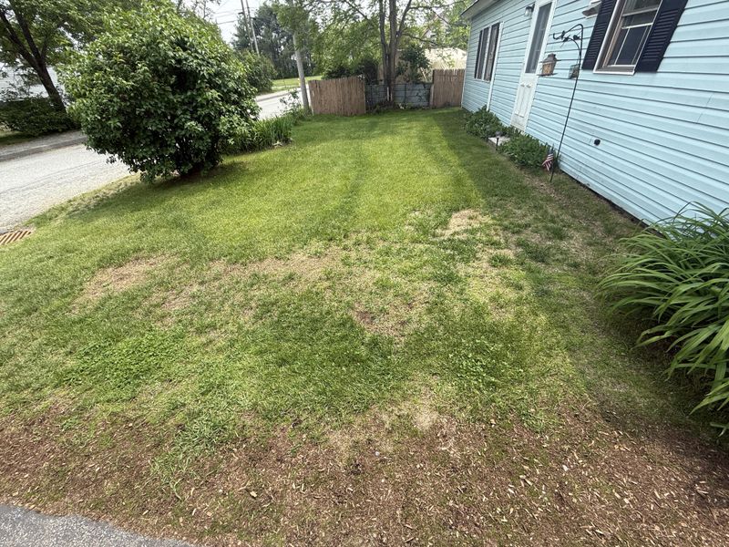 Salt Spray Makes Traditional Turf Work Harder