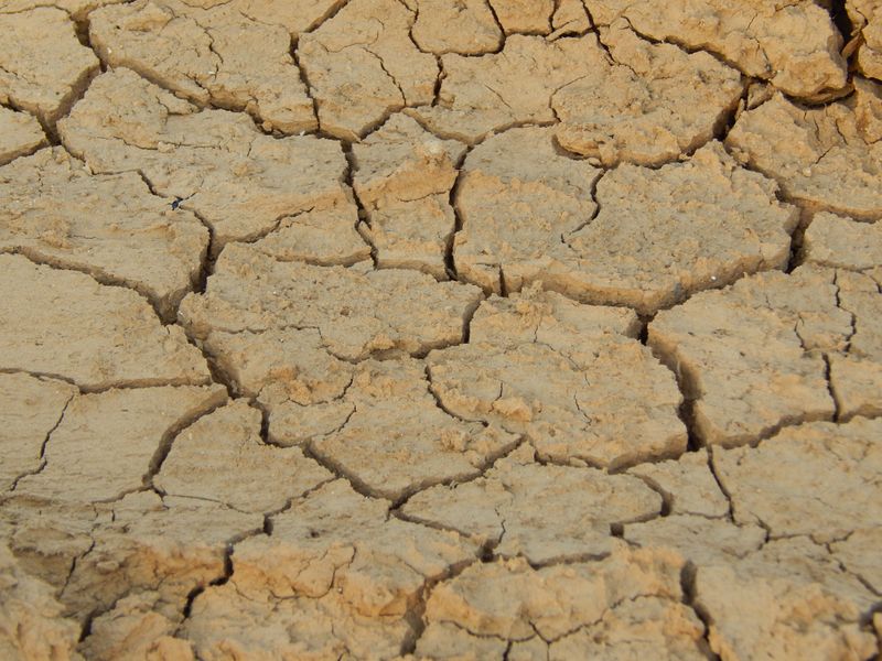 Sandy Or Clay-Heavy Soil Drains Too Fast Or Holds Water Poorly